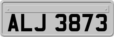 ALJ3873