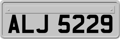 ALJ5229