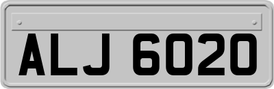 ALJ6020