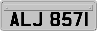 ALJ8571