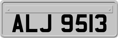 ALJ9513