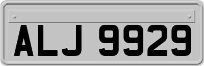ALJ9929