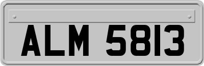 ALM5813