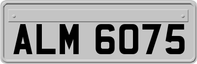 ALM6075