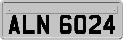 ALN6024