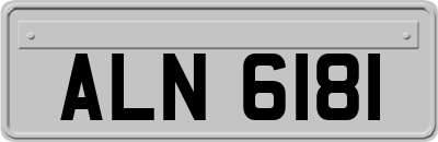 ALN6181