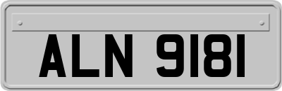 ALN9181