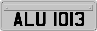 ALU1013