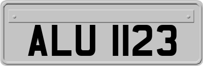 ALU1123
