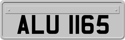 ALU1165