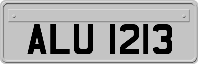 ALU1213