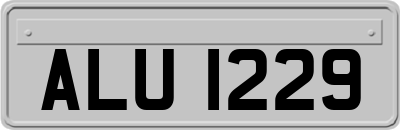 ALU1229