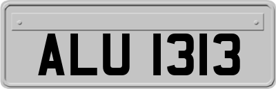 ALU1313
