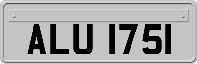 ALU1751