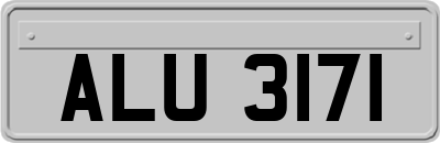 ALU3171