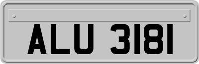 ALU3181