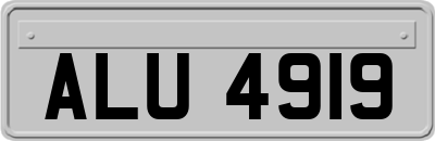 ALU4919