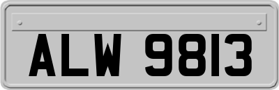ALW9813