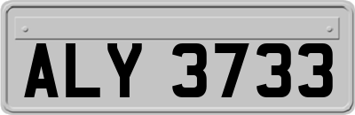 ALY3733