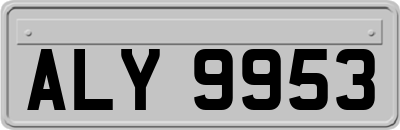 ALY9953