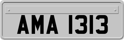 AMA1313
