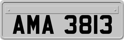 AMA3813