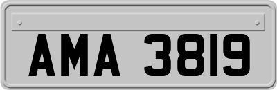 AMA3819