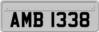 AMB1338
