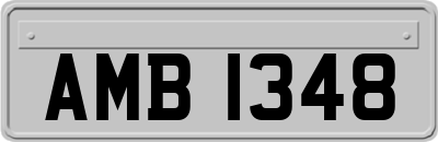 AMB1348