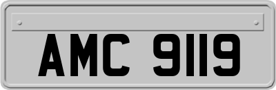 AMC9119