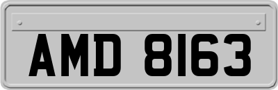 AMD8163
