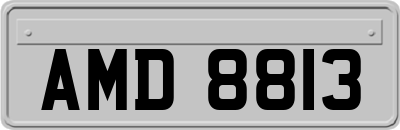AMD8813