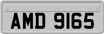 AMD9165