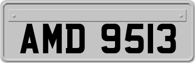 AMD9513