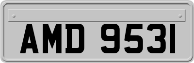 AMD9531