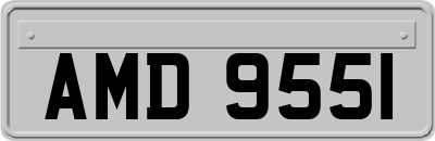 AMD9551