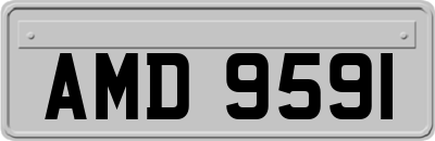 AMD9591
