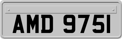 AMD9751
