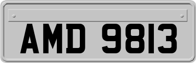 AMD9813