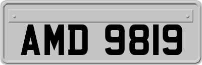 AMD9819