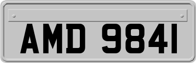 AMD9841