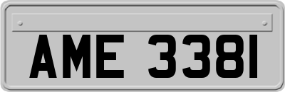 AME3381