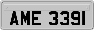 AME3391