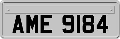 AME9184