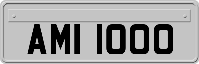 AMI1000
