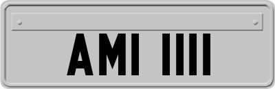 AMI1111