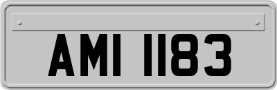 AMI1183