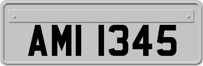 AMI1345
