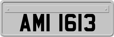 AMI1613