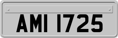 AMI1725